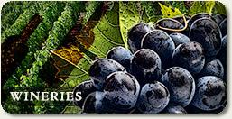 wineriesthmb